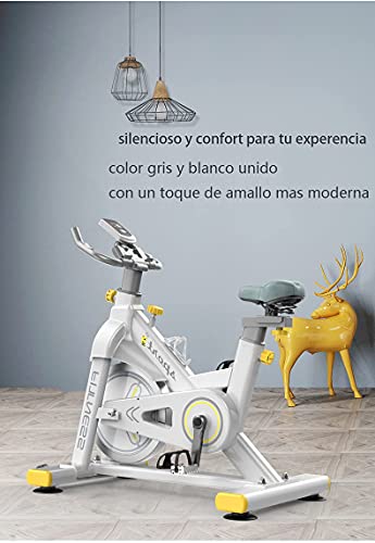 LAZY SPORTS Bicicleta Spinning Estática de Fitness. Resistencia Magneto resistencia. Asiento y Manillar Ajustable. Carga máximo 160Kg (blanco)