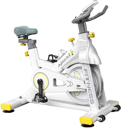 LAZY SPORTS Bicicleta Spinning Estática de Fitness. Resistencia Magneto resistencia. Asiento y Manillar Ajustable. Carga máximo 160Kg (blanco)