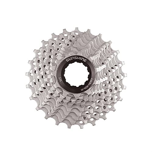 LHSJYG PiñOnes Velocidades Vuelo del Casete 8/9/10 Velocidad Freewheel MTB Bike Bike Bicycle 25/28 / 32/36/40/42/46 / 50T PUNTAR Cassette 10v (Color : 10S 11 46T)