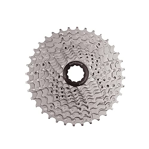 LHSJYG PiñOnes Velocidades Vuelo del Casete 8/9/10 Velocidad Freewheel MTB Bike Bike Bicycle 25/28 / 32/36/40/42/46 / 50T PUNTAR Cassette 10v (Color : 10S 11 46T)