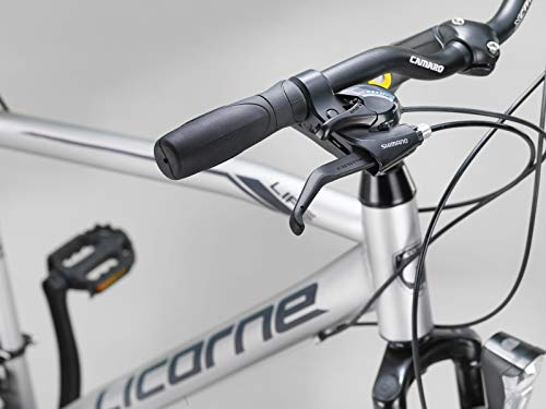 Licorne Bike Bicicleta de trekking prémium de 28 pulgadas, para niños, niñas, mujeres y hombres, cambio de 21 velocidades, bicicleta para hombre, bicicleta de niño, Life M-V, color gris/negro