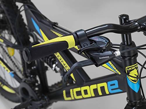 Licorne Bike Strong D - Bicicleta de montaña de 26 pulgadas Fully, freno de disco delantero y trasero, cambio de 21 marchas, suspensión completa, para jóvenes y hombres