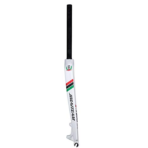 LSRRYD 26 27.5 29 Pulgadas Carbon Fibre Horquilla MTB Horquilla Rígida Freno De Disco Bicicleta De Montaña 9mm QR 1-1/8 535g (Color : White, Size : 26'')