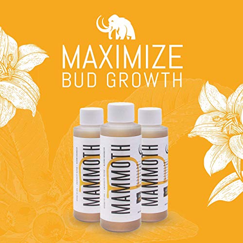 MAMMOTH P Microbes Bloom Enhancer Nutriente - Aumenta el Rendimiento y Mejora la Salud de Las Plantas - 120 ml