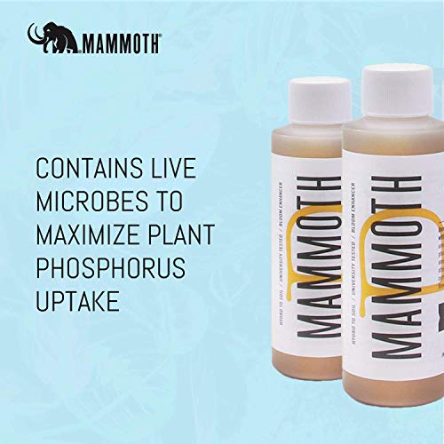 MAMMOTH P Microbes Bloom Enhancer Nutriente - Aumenta el Rendimiento y Mejora la Salud de Las Plantas - 120 ml