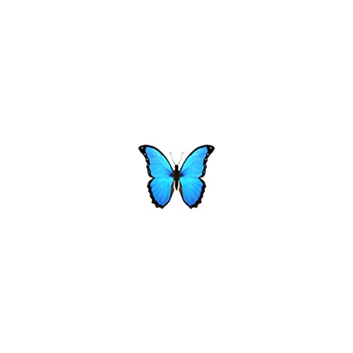Meditation 04252020 (4:26:20, 12.13 AM)