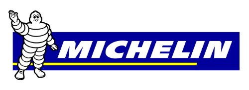 Michelin 9503 - Bomba de aire de pedal (7 bar)