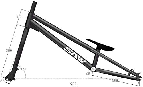 MU Ensayos 20 Pulgadas Street Bike Trial Bike Completa para Adultos/Adolescentes - Hombres Y Mujeres - Principiantes Y Avanzados, Frame Crmo Y Tenedor, con Frenos Delantero Y Trasero,Azul,Versión E