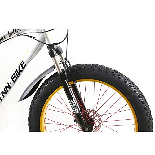 MyTNN Fatbike 26 pulgadas 21 velocidades Shimano Fat Tyre 2020 Mountain Bike 47 cm RH Snow Bike Fat Bike (plata/oro)