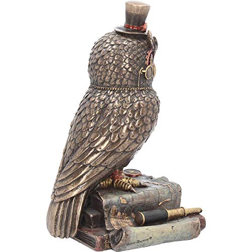 Nemesis Now Time Wise - Figura Decorativa (Resina, 20,5 cm), Color marrón