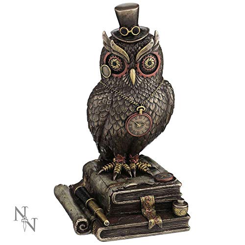 Nemesis Now Time Wise - Figura Decorativa (Resina, 20,5 cm), Color marrón