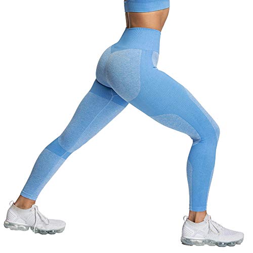 Pau1Hami1ton Sin Costura Leggins Mujer, Mallas Fitness Push Up Pantalones Deporte Running Yoga GP-15(Blue,M)