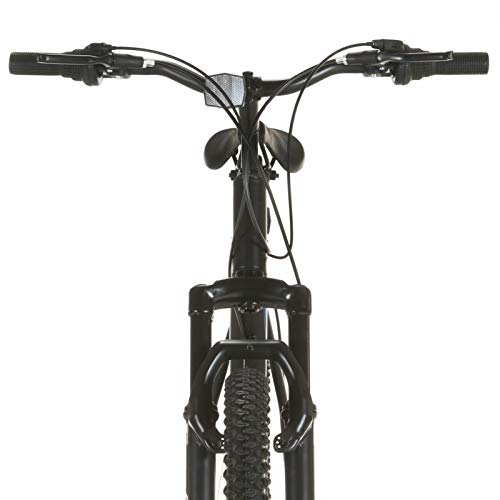 Qnotici Bicicleta de montaña 29 Pulgadas Ruedas Tren de transmisión de 21 velocidades, Altura del Cuadro 53 cm, Negro