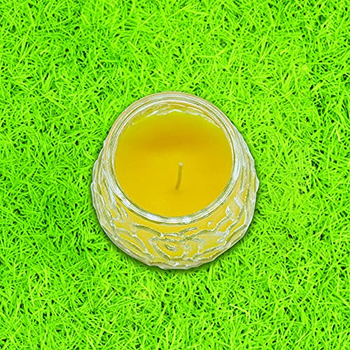 RAM ONLINE 2 velas de jardín Citronella Insense repelente de insectos para césped Pation velas de té, amarillo, 36