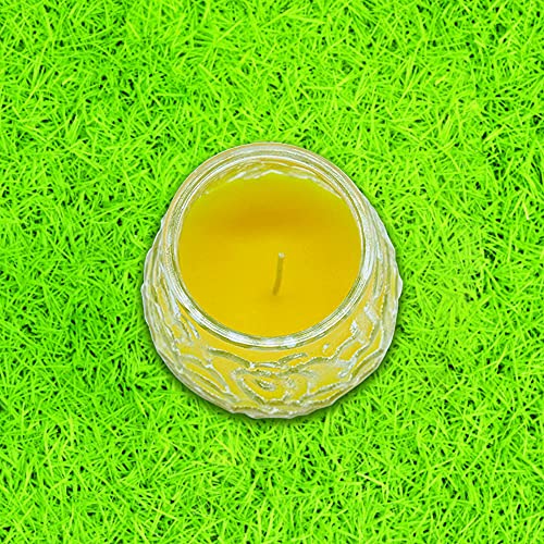 RAM ONLINE 4 velas de citronela al aire libre en tarro de cristal repelente de insectos moscas, amarillo, 3