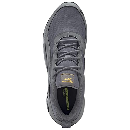 Reebok Ridgerider 6 GTX, Zapatillas de Running Hombre, Cold Grey 5/Cold Grey 6/Solar Gold, 42 EU