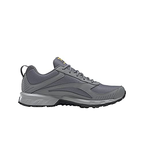 Reebok Ridgerider 6 GTX, Zapatillas de Running Hombre, Cold Grey 5/Cold Grey 6/Solar Gold, 42 EU