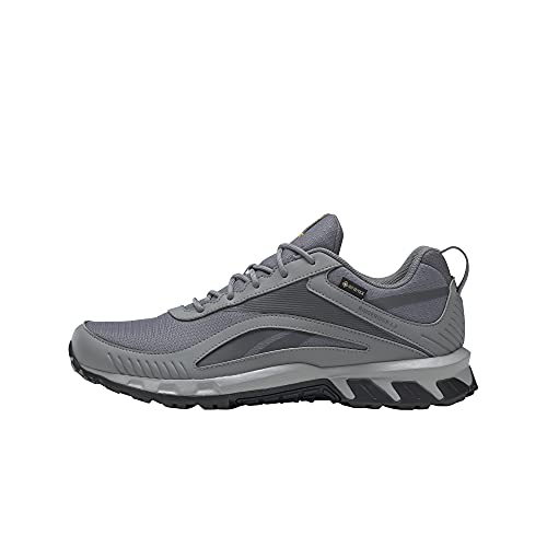 Reebok Ridgerider 6 GTX, Zapatillas de Running Hombre, Cold Grey 5/Cold Grey 6/Solar Gold, 42 EU