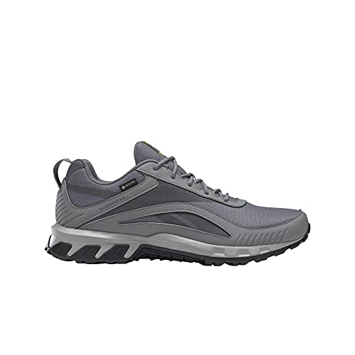 Reebok Ridgerider 6 GTX, Zapatillas de Running Hombre, Cold Grey 5/Cold Grey 6/Solar Gold, 42 EU