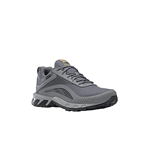 Reebok Ridgerider 6 GTX, Zapatillas de Running Hombre, Cold Grey 5/Cold Grey 6/Solar Gold, 42 EU