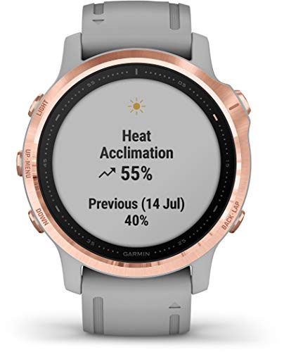 Reloj Garmin Fenix 6S Sapphire Oro Rosa con Correa de Silicona Gris 010-02159-21