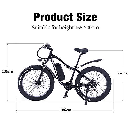 ride66 Bicicleta Electrica de Montaña para Adulto Hombre Mujer MTB 26" 1000W 48V 16Ah Ebike (Negro)