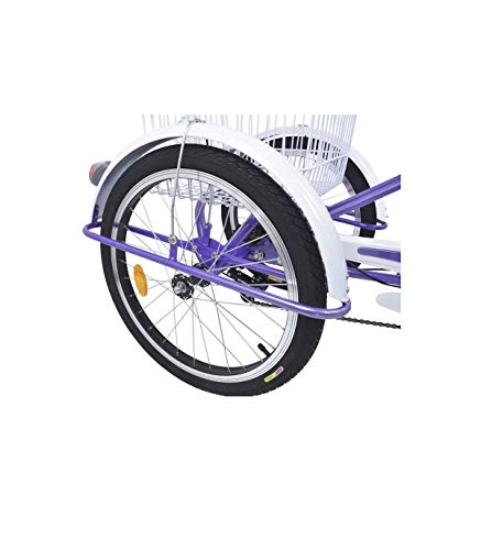 Riscko Triciclo para Adultos con 2 Cestas, 6 Velocidades, Asiento Y Manillar Ajustable Mod. Bep-14 Azul Turquesa Sin Montaje