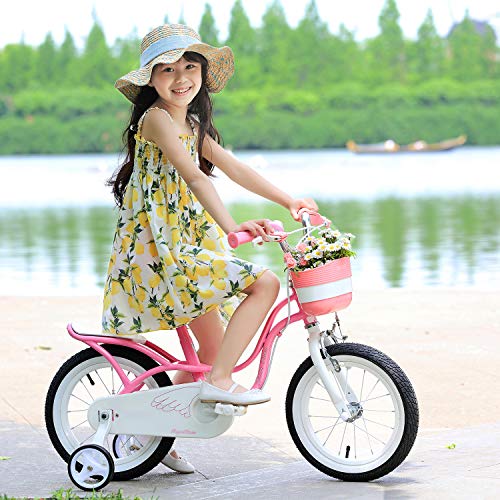 RoyalBaby Bicicleta para niños niña Little Swan Ruedas auxiliares Bicicletas Infantiles Bicicleta de Niño 18 Pulgadas Pink