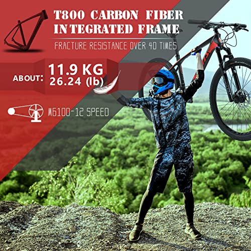 SAVADECK Bicicleta de montaña de Carbono Flamme1.0 27,5"/ 29" Cuadro de Fibra de Carbono Bicicleta de montaña rígida Ultraligero XC MTB con Grupo Shimano Deore M6100 de 12 velocidades