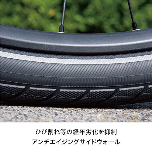 Schwalbe Marathon - Cámara para bicicleta (50,8 x 3,81 cm, con alambre, incluye capa reflectante Greenguard) negro