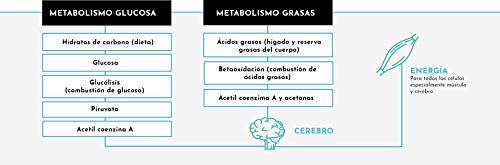 SIKETO - Minerales y vitaminas, Magnesio, sodio, potasio y vitaminas C, B1, B6, B12, Caja con 20 Sticks, Complemento alimenticio para dieta cetogénica (keto)