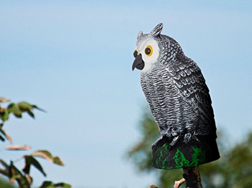 skycabin Repelentes Premium de Aves Colgantes de Anteojeras de Búho Para Palomas, Carpinteros, Patos Y Otras Especies