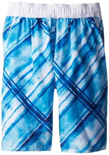 Speedo Big Boys Watercolor Plaid Eboard Swim Short - 7475108-154-L, playera de estilo, L, Azul (Blue Aster)