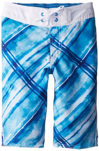 Speedo Big Boys Watercolor Plaid Eboard Swim Short - 7475108-154-L, playera de estilo, L, Azul (Blue Aster)