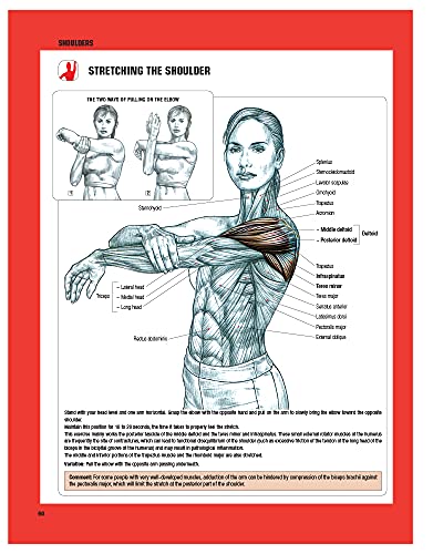 Strength Training Anatomy