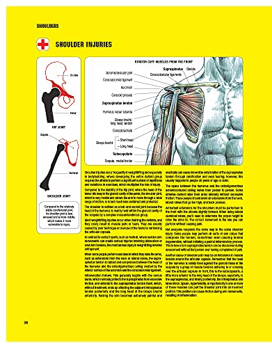 Strength Training Anatomy