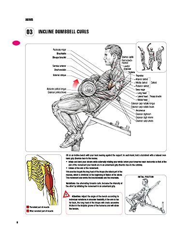 Strength Training Anatomy