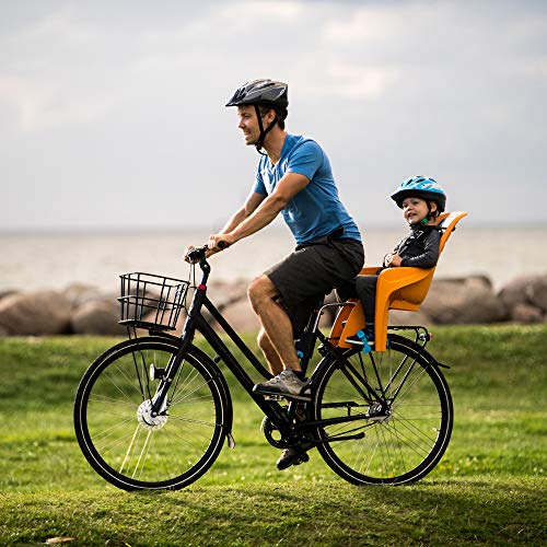 Thule Ride Along - Silla niño para bicicleta, color gris claro, V16