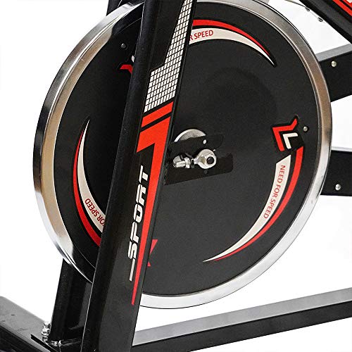 TLV BS2 Bicicleta Estatica de Spinning Bici Ejercicio Gym Casa Indoor Fitness Volante 10kg
