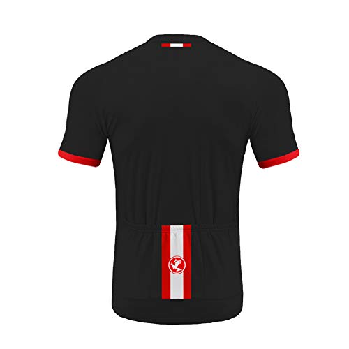 UGLY FROG Camisa de Ciclismo para Hombre de Manga Corta Respirable para Hombre Camisa de Ciclismo Tops de Ciclismo para Bicicleta DXML01