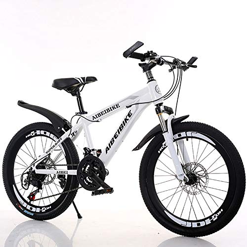 Velocidad Variable Sport Bike,Acero De Alto Carbono,20''22''24''26''Bicicleta,con Guardabarros Frenos De Doble Disco,Suspensión Completa,Bicicleta De Montaña para Hombres Y Mujeres-Blanco 26inch