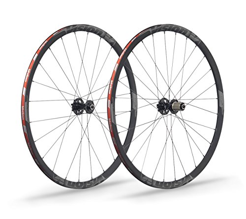 Vision Trimax 30 Disc Shimano Par de Ruedas, Gris, 11 velocidades