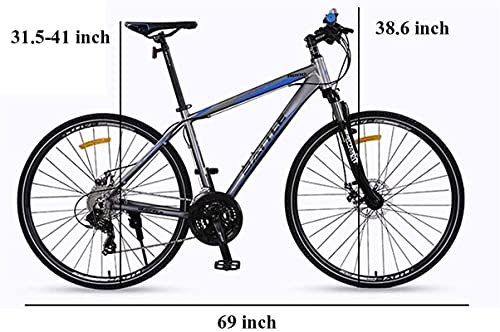 WENHAO Bicicleta de carretera for adultos, 27 bicicletas de velocidad con un tenedor de suspensión, frenos de disco mecánico, liberación rápida Bicicleta de cercanías urbanas, 700c, gris (color: gris)