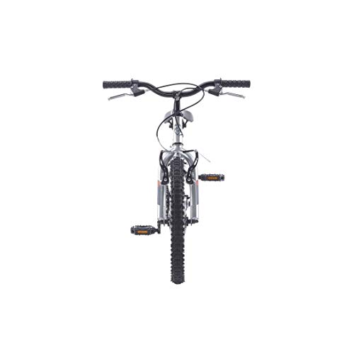 WildTrak WT007EU - Bicicleta para niños, 20", color plata