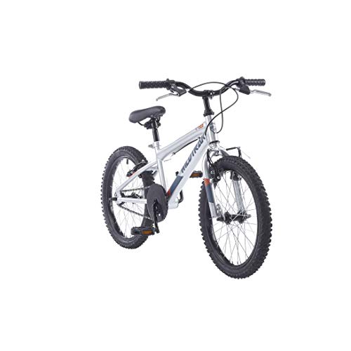 WildTrak WT007EU - Bicicleta para niños, 20", color plata