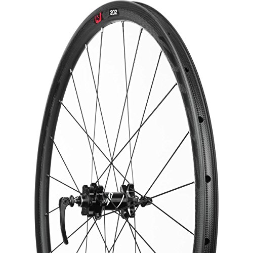 Zipp 202 Carbon Clincher Disc Brake V2 177D Rear 24 Spokes 10/11 Speed SRAM Decal (Special Order) - Rueda para Bicicletas, Color Negro