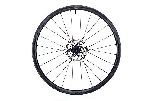 Zipp 202 NSW - Rueda Delantera Unisex, Imprimir gráficos, tamaño 700 C