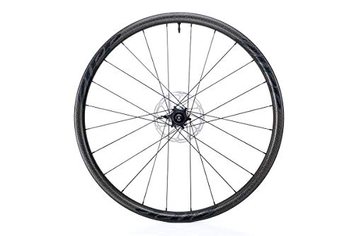 Zipp 202 - Rueda Trasera para reposabrazos de Lluvia, Color Black Decal, tamaño Size 700C