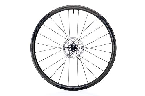 Zipp 202 - Rueda Trasera para reposabrazos de Lluvia, Color Black Decal, tamaño Size 700C