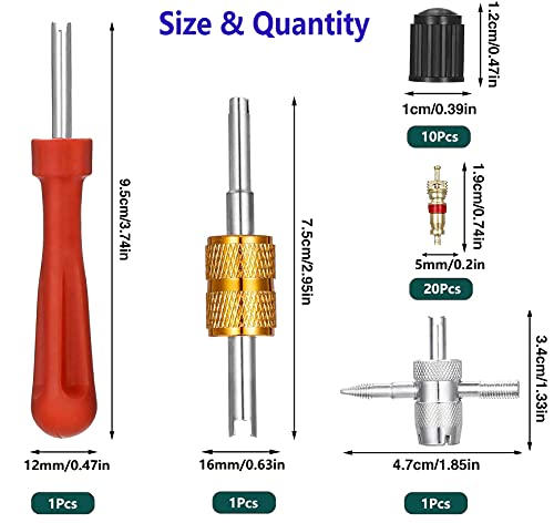 33 Pcs Kit de Reparación de Neumáticos con 20 Núcleos de Válvula, Extractores de Núcleo de Válvula de Cabezal Doble y de Cabezal único, 4 Herramientas de Válvula y 10 Tapas de Válvula de Neumático